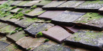 Hunts Green roof repair costs